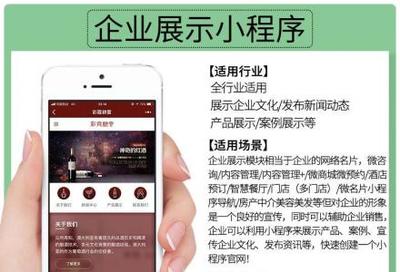 小程序定制開發、微信公眾號、推廣排名、吸粉